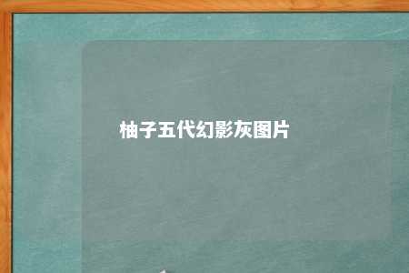 柚子五代幻影灰图片