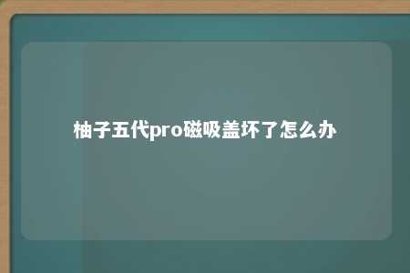 柚子五代pro磁吸盖坏了怎么办